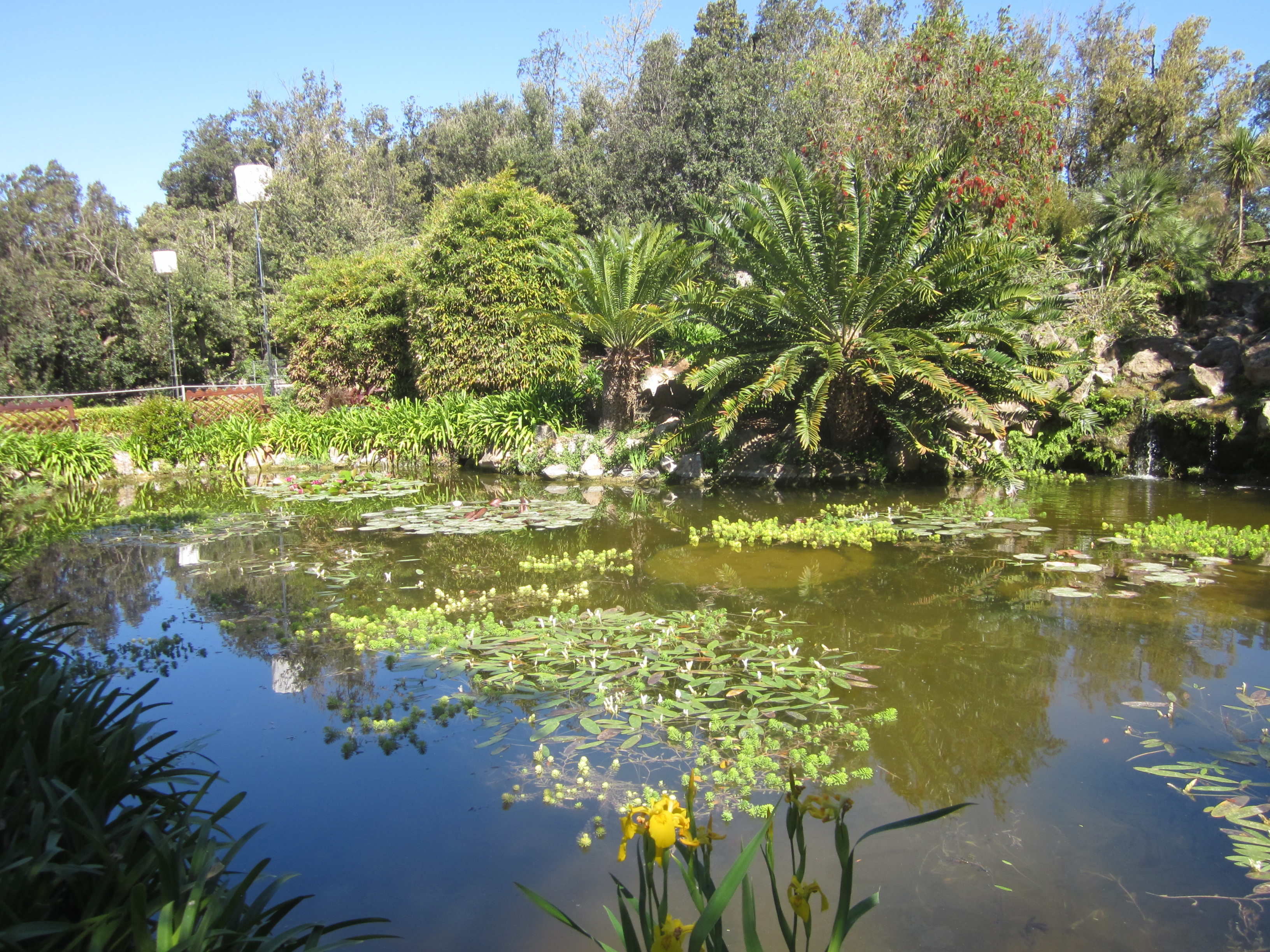 Enjoy Secret Gardens 